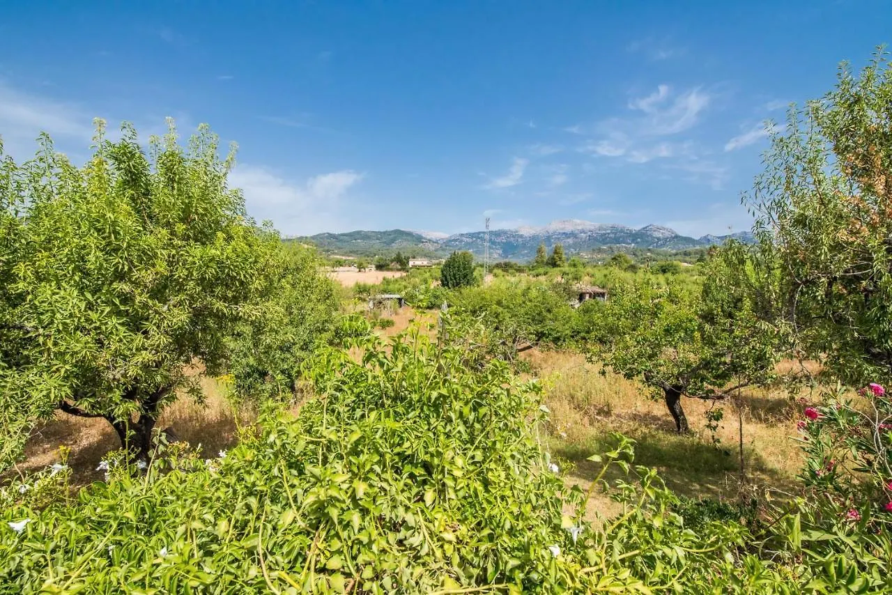 Gospodarstwo wiejskie Ideal Property Mallorca - Can Reure Inca  Hiszpania