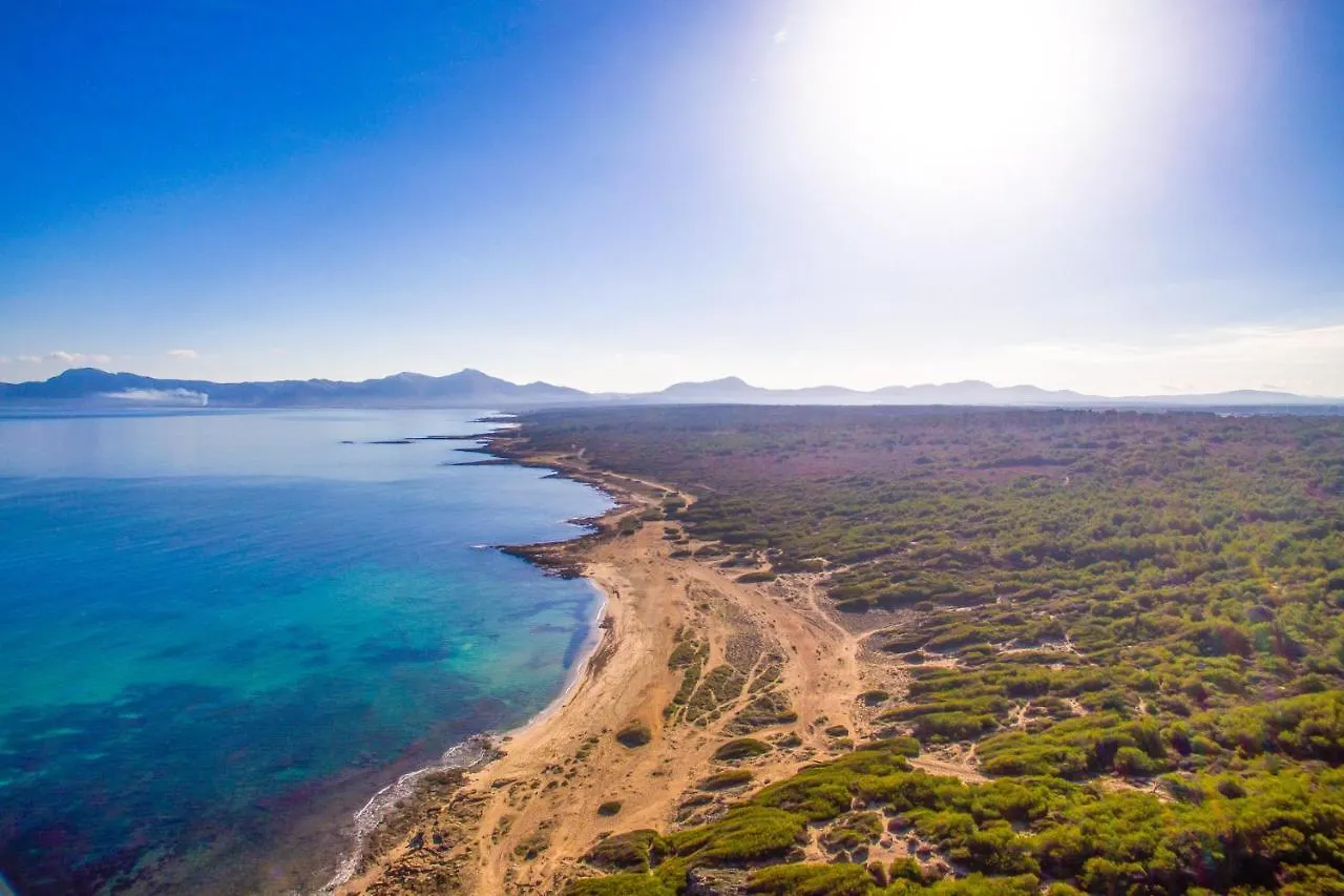 Ideal Property Mallorca - Can Reure Инка